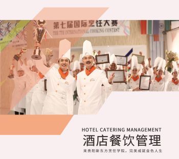 上云展網(wǎng)，餐飲信息咨詢產(chǎn)品畫(huà)冊(cè)的全新升級(jí)之旅